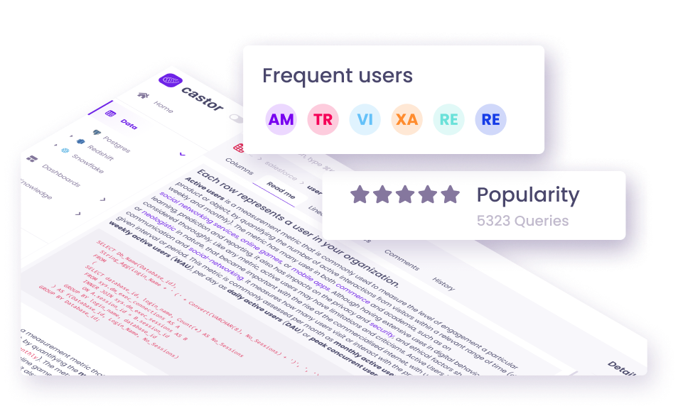 Automated Data Catalog Software Castor